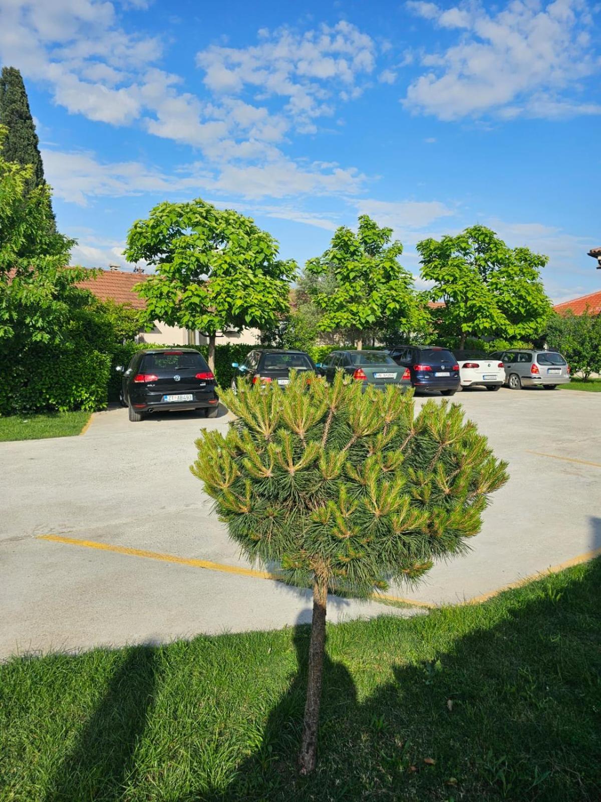 Apartments Aerodrom Podgorica Extérieur photo